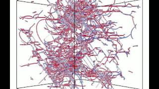 Dislocation Patterns During Cyclic Loading in Ni Free Standing Microcrystals [upl. by Ellwood]