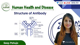 Structure of Antibody  Human Health and Disease  L3  NEET 202223  Seep Pahuja [upl. by Shivers]