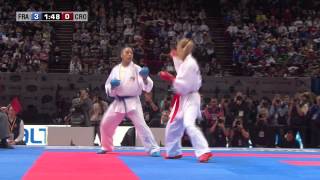 Final Female Kumite 55kg Lucie Ignace vs Jelena Kovacevic World Karate Championships 2012 [upl. by Rogergcam]