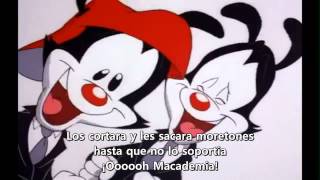 Animaniacs  Macademia Nut Sub español latino [upl. by Epilif]