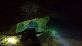 🦚 Peacock Springs Cave Dive [upl. by Thetos664]