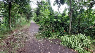 The Aftermath of the Storm at Wessex Estate [upl. by Denn]