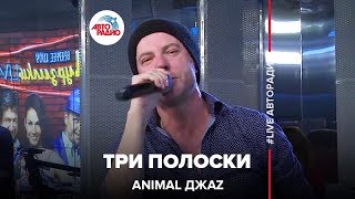 Animal ДжаZ  Три Полоски LIVE  Авторадио [upl. by Namwen]