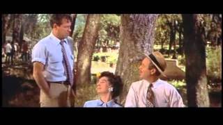 Picnic Trailer 1955 William Holden Kim Novak [upl. by Nnahgaem342]