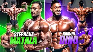 Ramon Dino vs Stéphane Matala  la bataille qui approche  🔥💪🏼🔥 [upl. by Brittney]