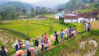 BELANJA ONLINE MAKANAN INDONESIA DI JEPANG  TOKO INDONESIA [upl. by Rowena]