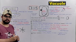 Vacuole Types and Functions of Vacuole Plant Central Vacuole Detailed Series [upl. by Vadim]