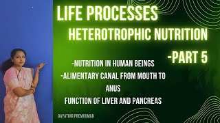 LIFE PROCESSES HETEROTROPHIC NUTRITIONPART 5class10 cbse biology lifeprocesses [upl. by Mariejeanne]