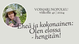 Voimarunopolkujen lakaisukalenteri viikolle 41  2024 [upl. by Oilejor]