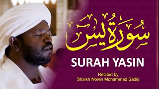 Surah Yaseen سورة يس II Urdu Translation amp Roman Urdu II Shaikh Noren Mohammad Sadiq [upl. by Diena]