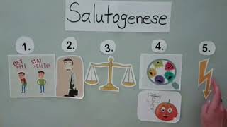 Das SALUTOGENESE MODELL Legefilm [upl. by Sydney]