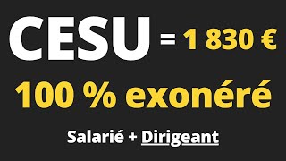 Comment mettre en place le CESU  Obligations et avantages fiscaux [upl. by Anirbaz770]