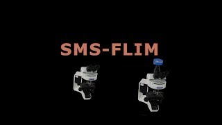 Standard Microscope Spectroscopy SMS FLIM [upl. by Eiveneg844]