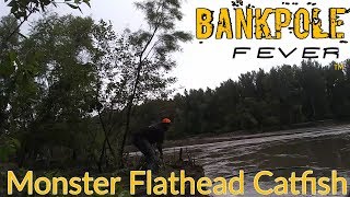 Bank poles for MONSTER Flathead catfishBank poles for catfish [upl. by Valerle499]