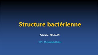 Microbio  Structure bactérienne [upl. by Kelcie]