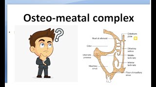 ENT OsteoMeatal Complex unit concha bullosa uncinate infundibulum Hiatus semilunaris WHAT IS [upl. by Rfinnej]