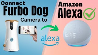 Furbo 360° Dog Camera Setup With Amazon Alexa  Devicessetup [upl. by Nahsed]