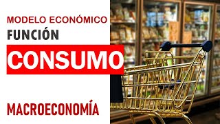 Macroeconomía función de consumo [upl. by Lleuqram624]