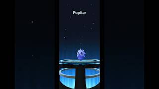 Larvitar Evolves to Pupitar in Pokemon GO PokemonGO Larvitar Pupitar [upl. by Linder]