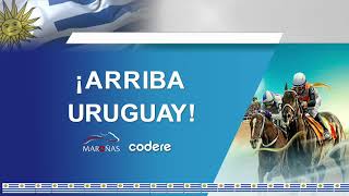 CARRERAS MARONAS 230624  EN VIVO  URUGUAY [upl. by Idonah]