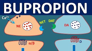 Bupropion Wellbutrin  How it works Uses Side effects and Precautions [upl. by Darla844]