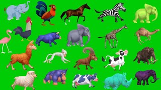 cartoon animal animated stampede green screen animal video Suresh Verma official [upl. by Jessa]