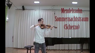 Mendelssohn Scherzo 2nd Violin Excerpt [upl. by Reeta473]