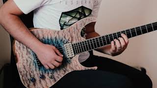 TesseracT  Hexes Cover only clean part  Skervesen Guitar [upl. by Salohcin]