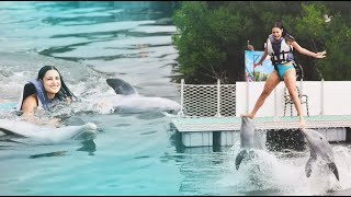 ASÍ ES NADAR CON DELFINES en Varadero 🇨🇺 Caídas miedo y más [upl. by Loralyn]