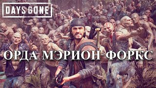 Орда Из МэрионФоркс в Days Gone [upl. by Annaihs]