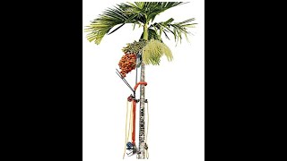 Arecanut  Supari  Betelnut Tree Climber Machine [upl. by Akcirehs]