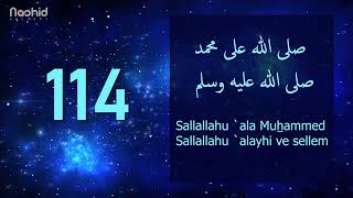 1000 Salavat  SALLALLAHU ALA MUHAMMED SALLALLAHU ALAYHI VE SELLEM [upl. by Tnecnivleahcim]