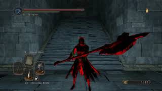 Dark Souls 2  Wrathful Axe Invasions part 1 [upl. by Yesnyl428]