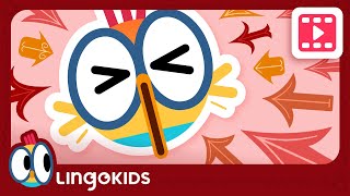 CARTOONS FOR KIDS  Giving DIRECTIONS ⬆️⬇️ Lingokids [upl. by Fleeman]