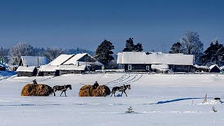 Winter Life in Russian North Usual life of Village family in North of Russia [upl. by Widera]