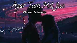 🥰Agar Tum Mil Jao Jamana Chod Denge💞Slowed And Reverb😓Shreya Ghoshal  Hindi Lofi Music Viral Hub [upl. by Pilar]