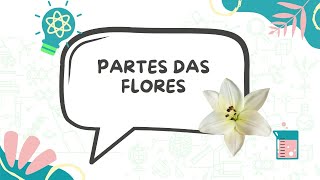 Partes das flores [upl. by Eseryt758]