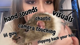 ASMR hand sounds amp visuals fast amp aggressive ft my rat Goose💗⭐️ [upl. by Ahseal314]