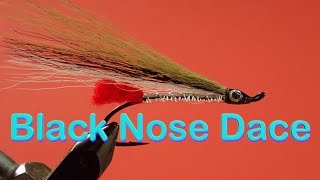 Beginners Fly Tying Series Easy Streamer Series  the Black Nose Dace [upl. by Yehus]