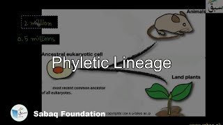 Phyletic lineage Biology Lecture  Sabaqpk [upl. by Atinaujnas]