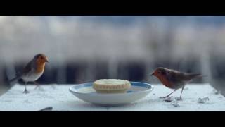 Waitrose Christmas TV ad 2016 HomeForChristmas [upl. by Asilet67]