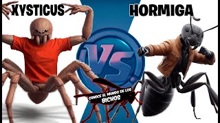 ARAÑA XYSTICUS VS HORMIGA DE JARDÍN [upl. by Aetnahc]