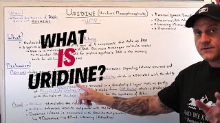 What Is Uridine and The Benefits [upl. by Ecille576]