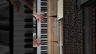 Haunting Melody Chopin  Nocturne no20 in Csharp minor Op Posth chopin piano shorts [upl. by New]