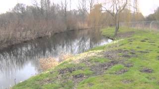 BRIDGE INN LAKES LENWADE NORFOLK [upl. by Bathesda]