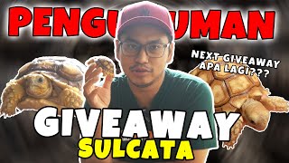 PENGUMUMAN PEMENANG GIVE AWAY SULCATA [upl. by Zacharie331]