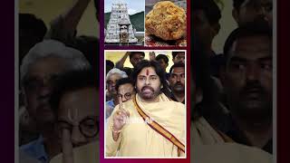 Pawan Kalyan Mass Warning To Ys Jagan  Animal Fat in Thirupathi Laddu  ManaAP [upl. by Ennayhc]