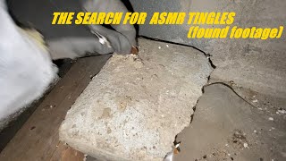 The Search For ASMR Tingles found footage [upl. by Annia]