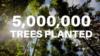 Ecosia has reached 5 million planted trees [upl. by Acinimod]