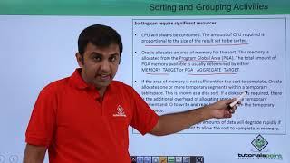 Sorting and Grouping Activities [upl. by Harneen]